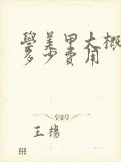 学美甲大概需要多少费用