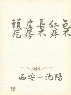 头皮长红色的小疙瘩不疼不痒封面