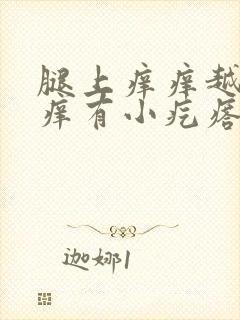 腿上痒痒越挠越痒有小疙瘩封面