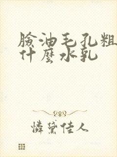 脸油毛孔粗大用什么水乳