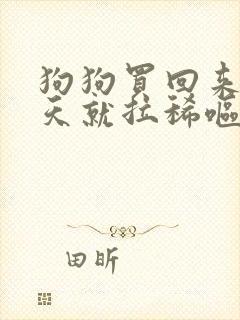 狗狗买回来第二天就拉稀呕吐怎么办