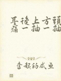 耳后上方头部疼痛一抽一抽疼