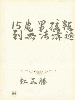 15岁男孩叛逆到无法沟通怎么办