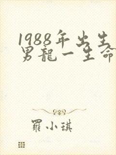 1988年出生男龙一生命运