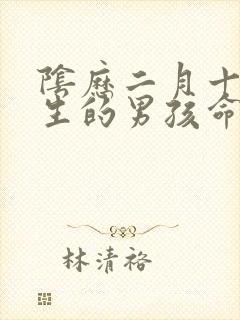 阴历二月十九出生的男孩命好吗封面