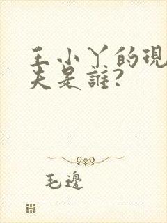 王小丫的现任丈夫是谁?封面