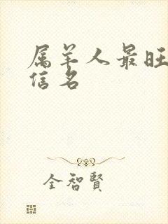 属羊人最旺的微信名