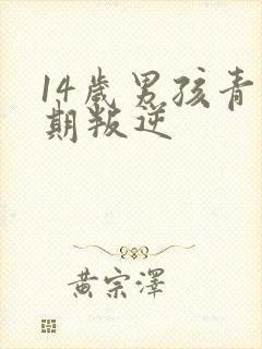 14岁男孩青春期叛逆