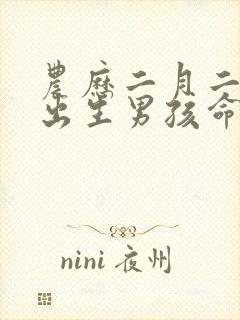 农历二月二十四出生男孩命运