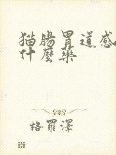 猫肠胃道感染吃什么药封面