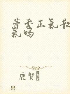 藿香正气散除湿气吗