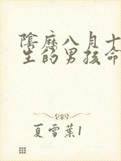 阴历八月十三出生的男孩命运