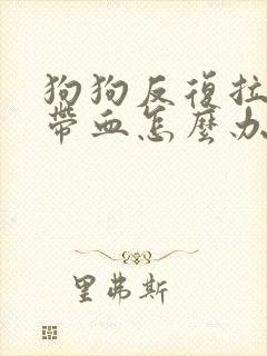 狗狗反复拉肚子带血怎么办