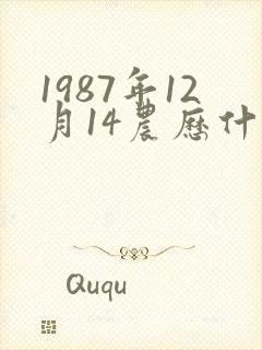 1987年12月14农历什么命封面