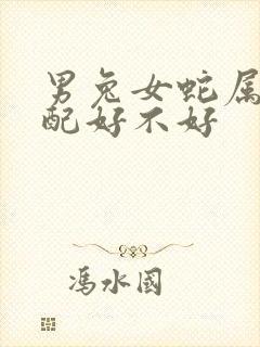 男兔女蛇属相婚配好不好