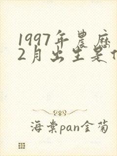 1997年农历2月出生是什么命