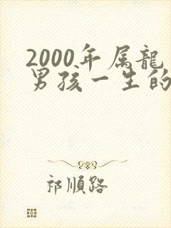 2000年属龙男孩一生的命运