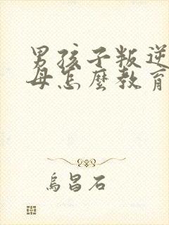 男孩子叛逆期父母怎么教育