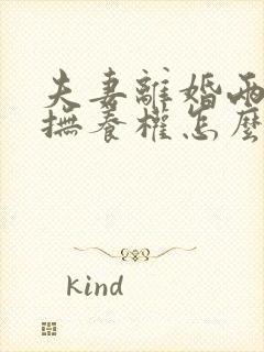 夫妻离婚两孩子抚养权怎么判定