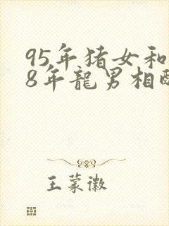 95年猪女和88年龙男相配吗封面