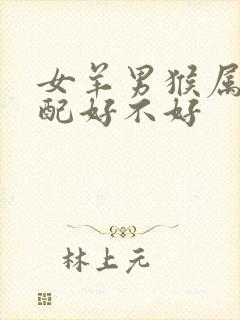 女羊男猴属相婚配好不好封面