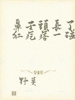 鼻子头长了个大红疙瘩一碰就疼