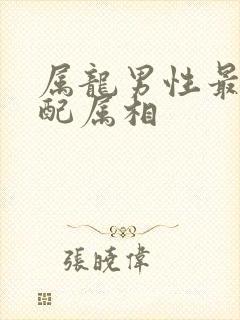 属龙男性最佳婚配属相