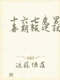 十六七岁男孩青春期叛逆该怎么办