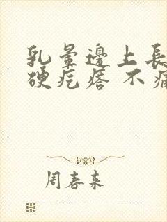 乳晕边上长一个硬疙瘩 不痛不痒封面