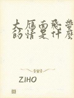 大雁南飞带走我的情是什么歌