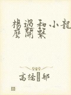 杨过和小龙女什么关系