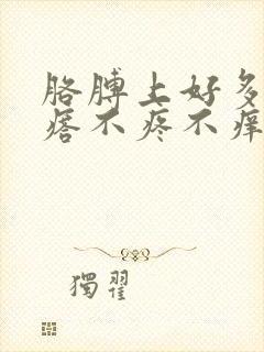 胳膊上好多小疙瘩不疼不痒