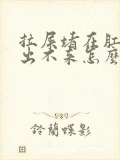 拉屎堵在肛门口出不来怎么办