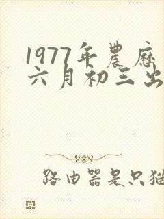 1977年农历六月初三出生命运
