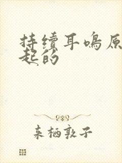 持续耳鸣原因引起的