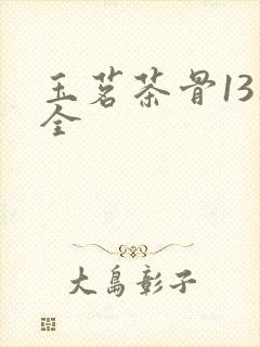 玉茗茶骨13集全