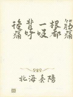 后背一根筋扯着痛呼吸都痛