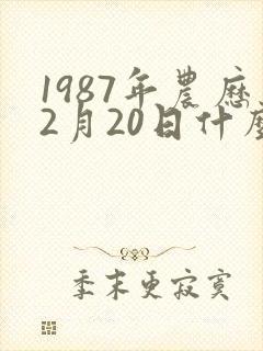 1987年农历2月20日什么命