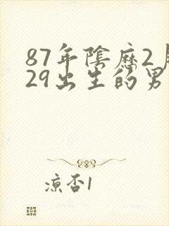 87年阴历2月29出生的男人命运如何封面