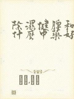 除湿健脾和胃吃什么中药好