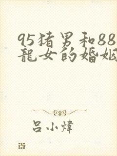 95猪男和88龙女的婚姻怎么样封面