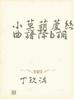 小草葫芦丝独奏曲谱降b调