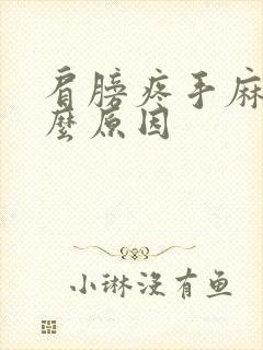 肩膀疼手麻是什么原因封面