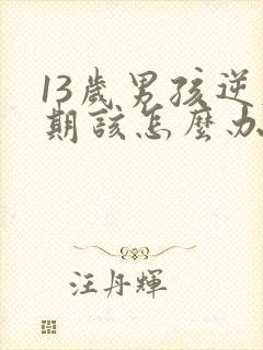 13岁男孩逆反期该怎么办封面