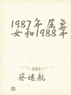 1987年属兔女和1988年属龙男婚配怎样