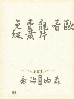 免费观看欧美一级黄片封面