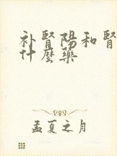 补肾阳和肾阴吃什么药封面