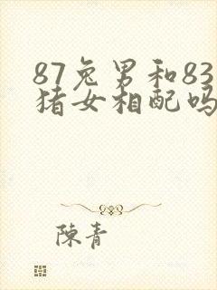 87兔男和83猪女相配吗封面