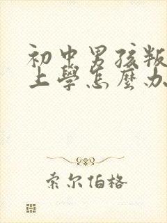 初中男孩叛逆不上学怎么办