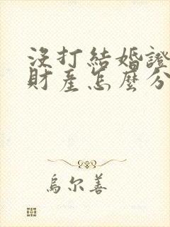 没打结婚证同居财产怎么分配